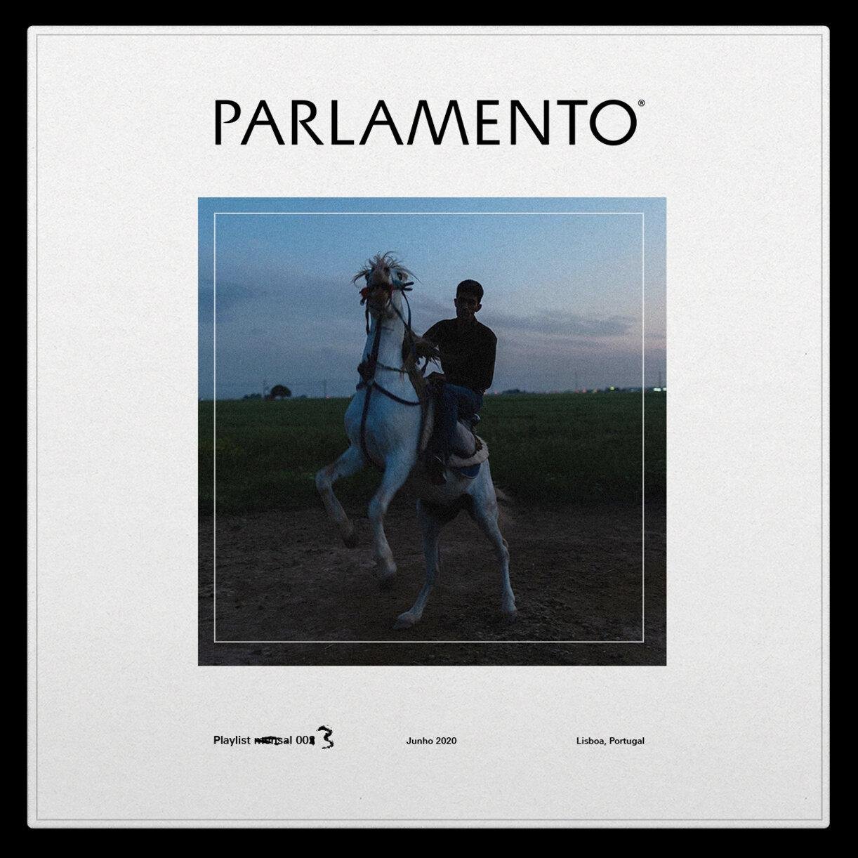 A person is riding a rearing white horse against a dusky sky in a field.