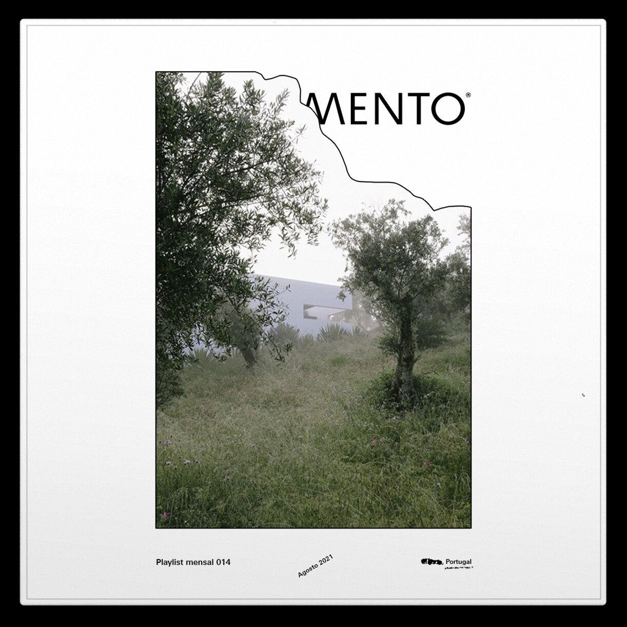 A foggy landscape featuring an olive tree and lush grass.