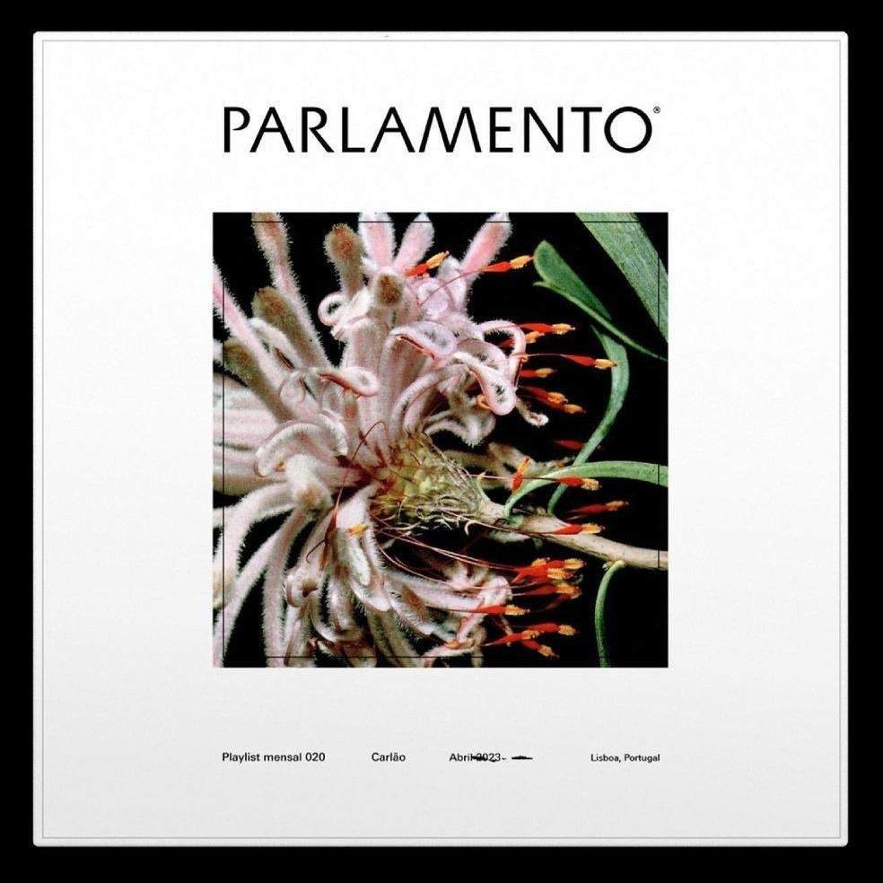 Playlist Mensal 20 cover, curated by Carlão.
