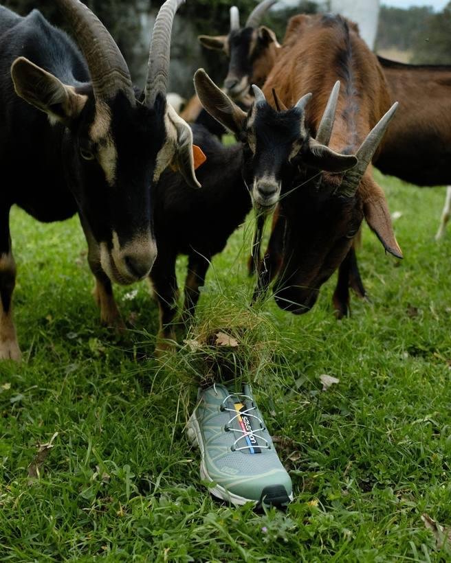 Salomon publicity banner in the countryside.