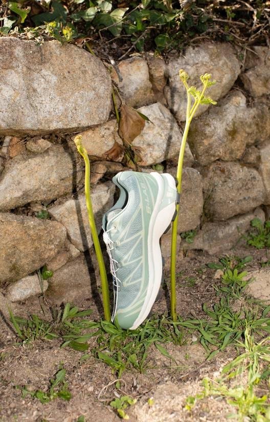 Salomon Xt-6 for Visual Installment 13.