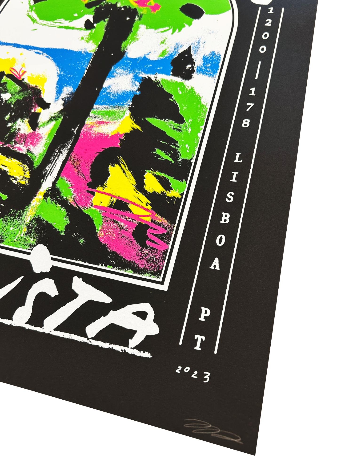 Braulio Poster Detail 5