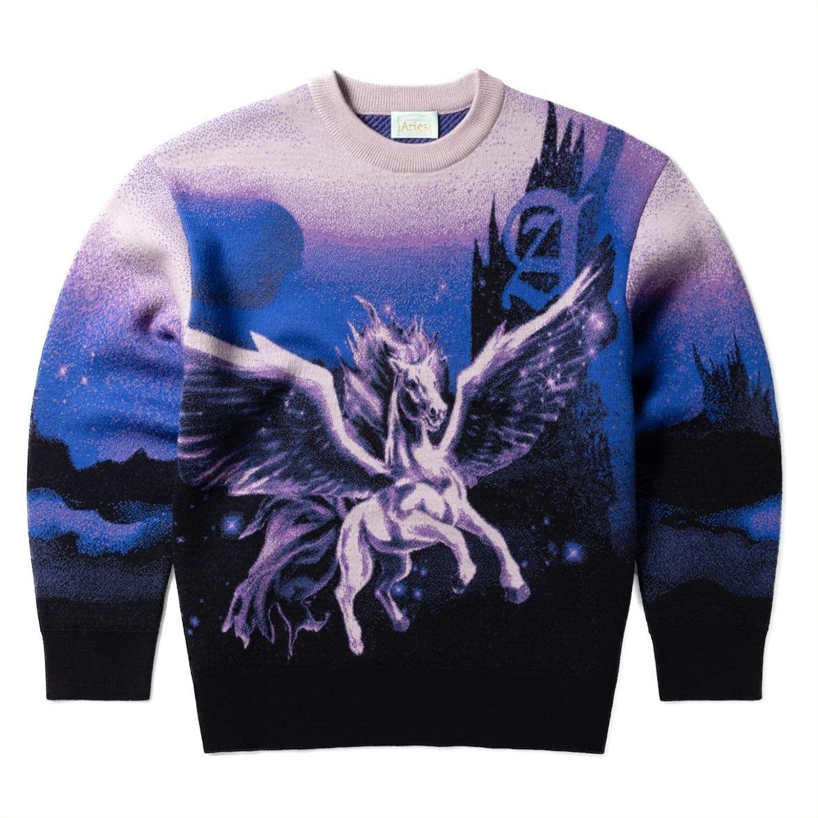 Aries Pegasus Knit front.