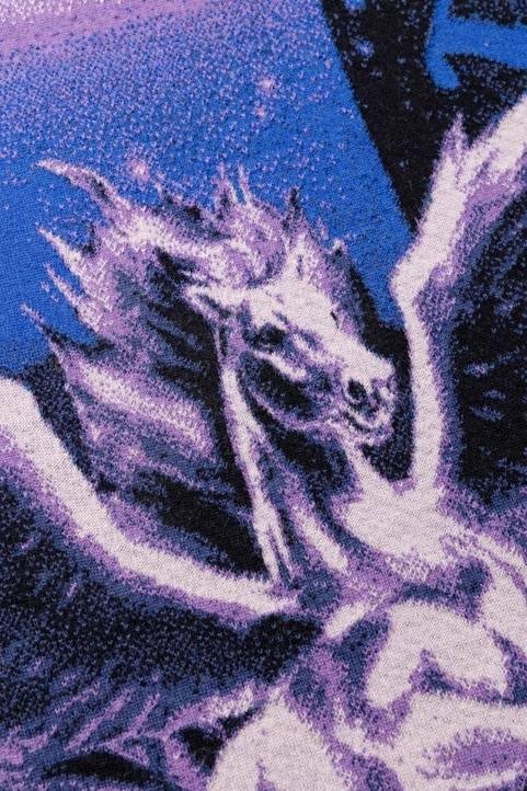 Aries Pegasus Knit print detail.