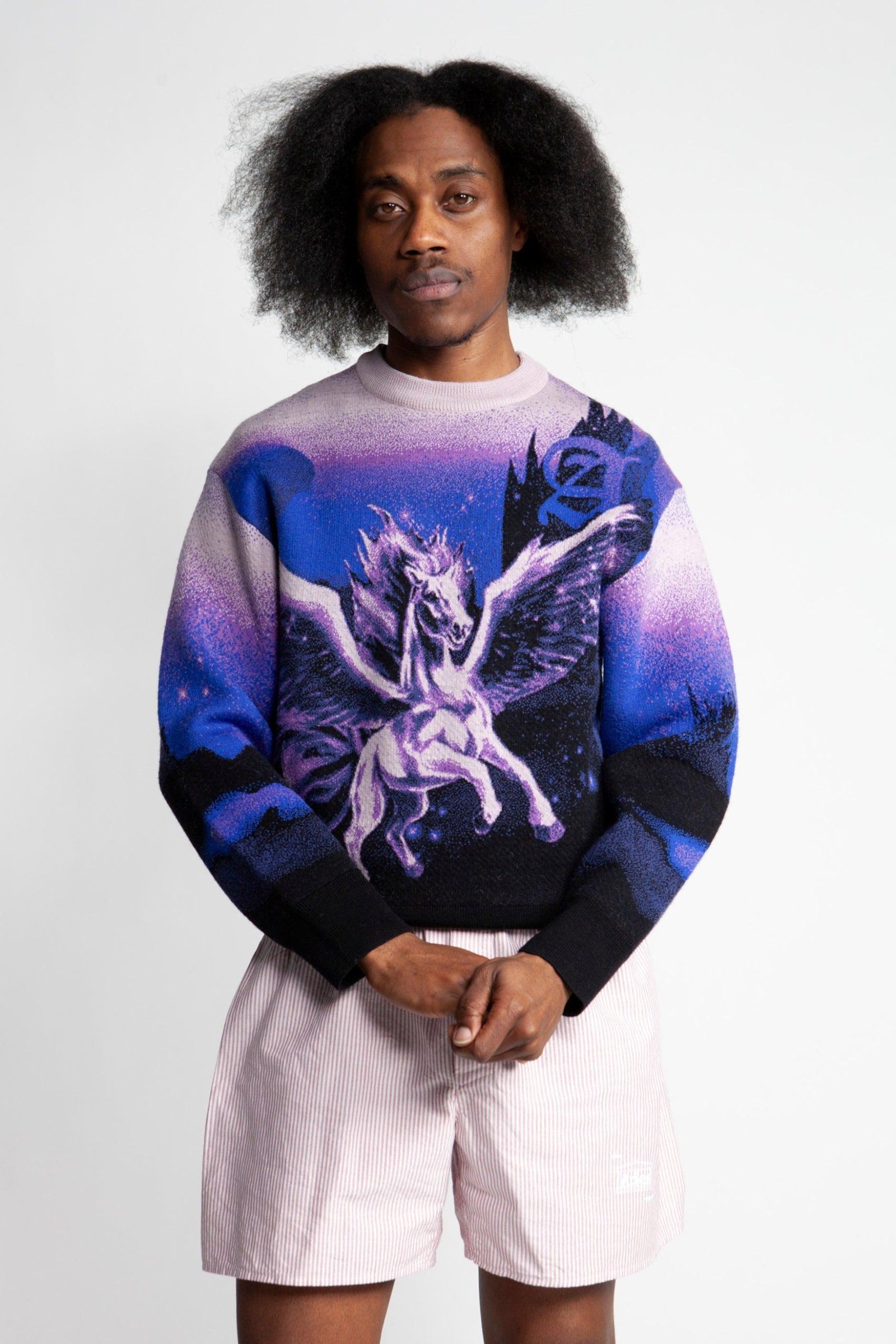 Person wearing the Aries Pegasus Knit from the front.