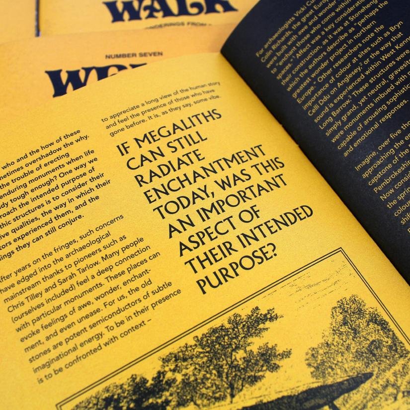 Weird Walk Zine Seven3