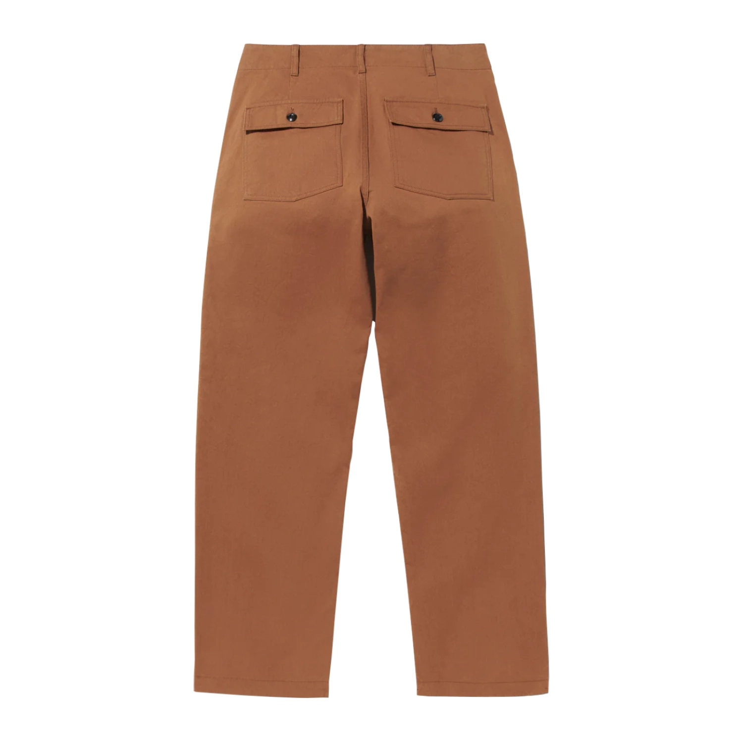 Noah Pleated Fatigue Pant Brown back view in a white background