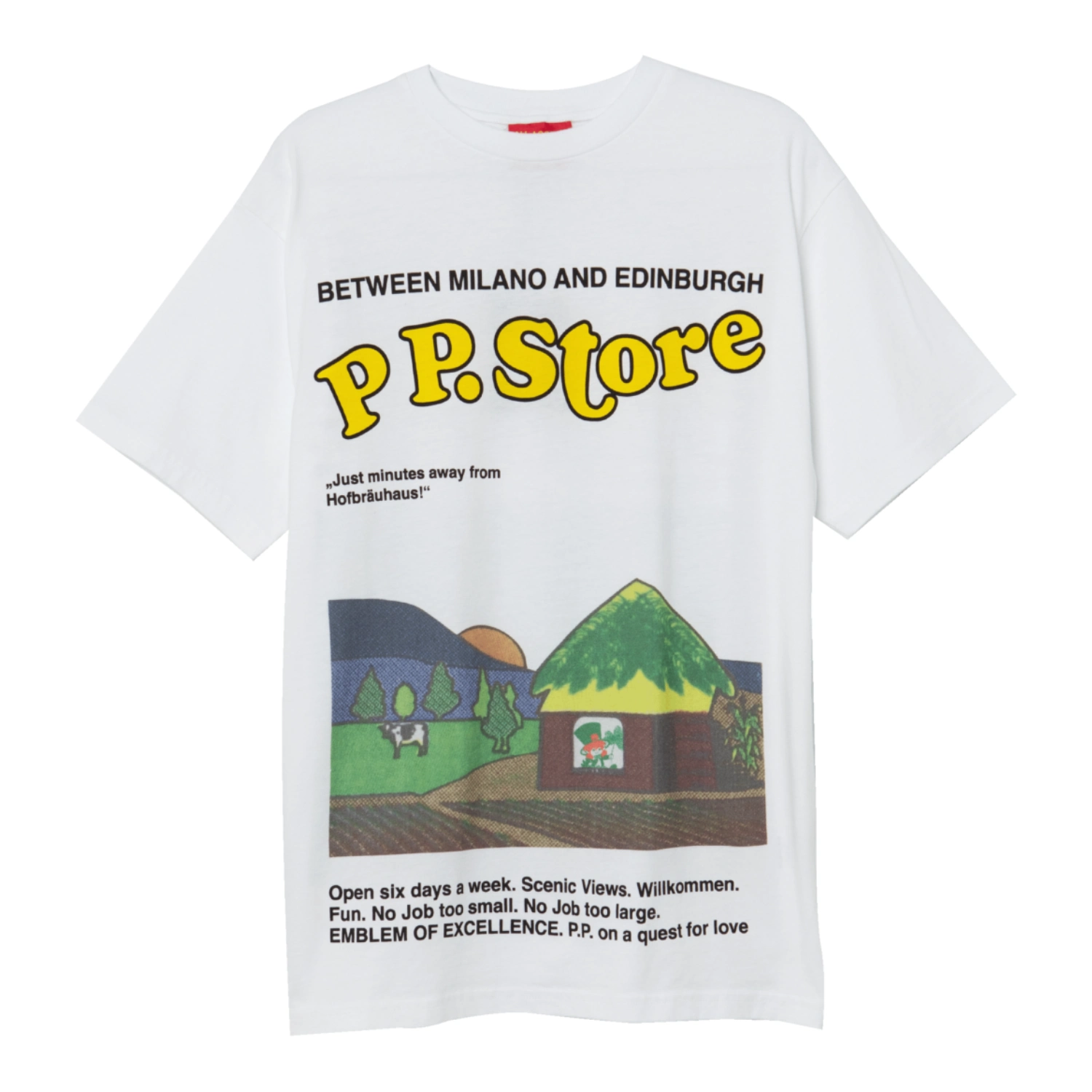 Public Possession Fomo T-Shirt front view in a white background