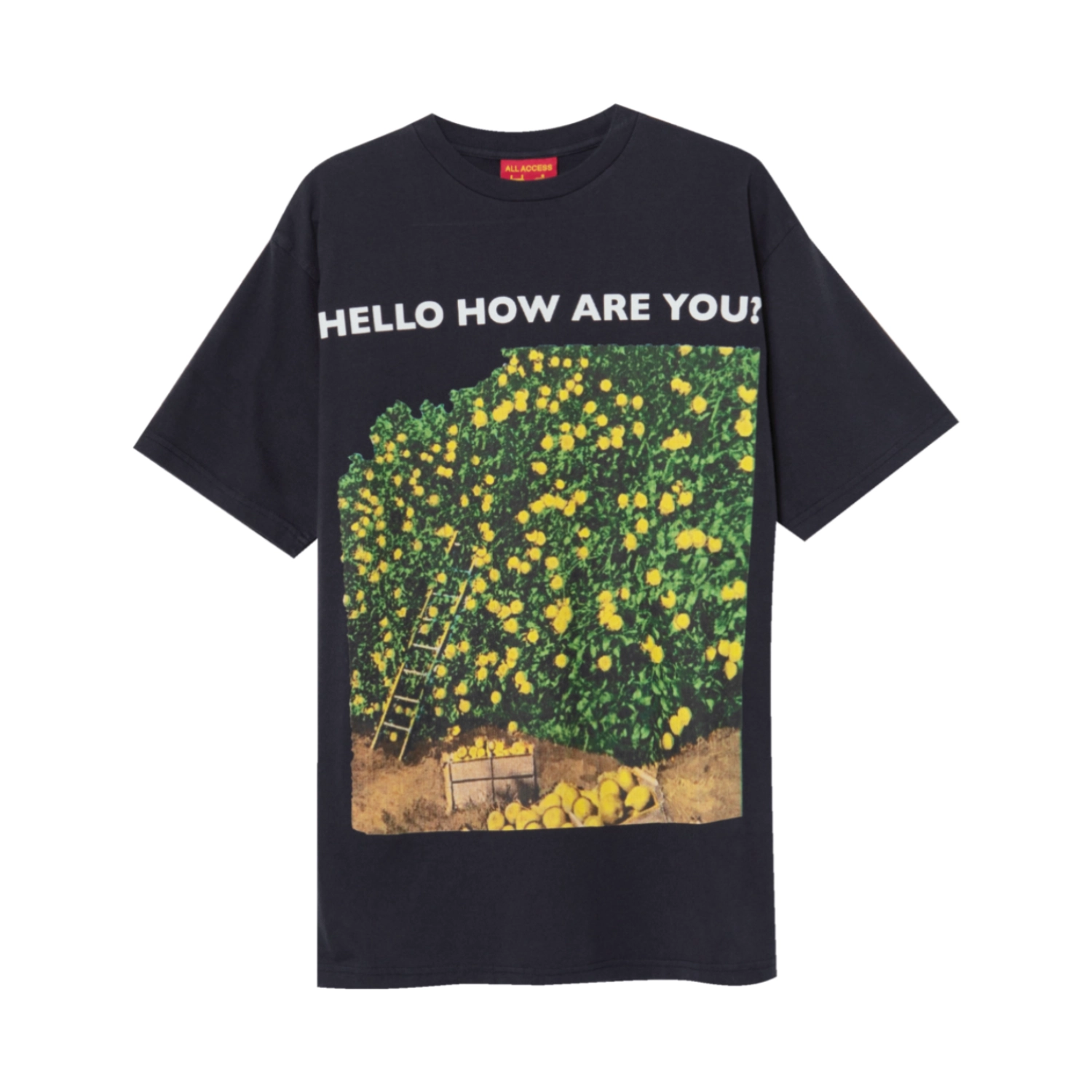 Public Possession Hello How Are You T-Shirt front view in a white background