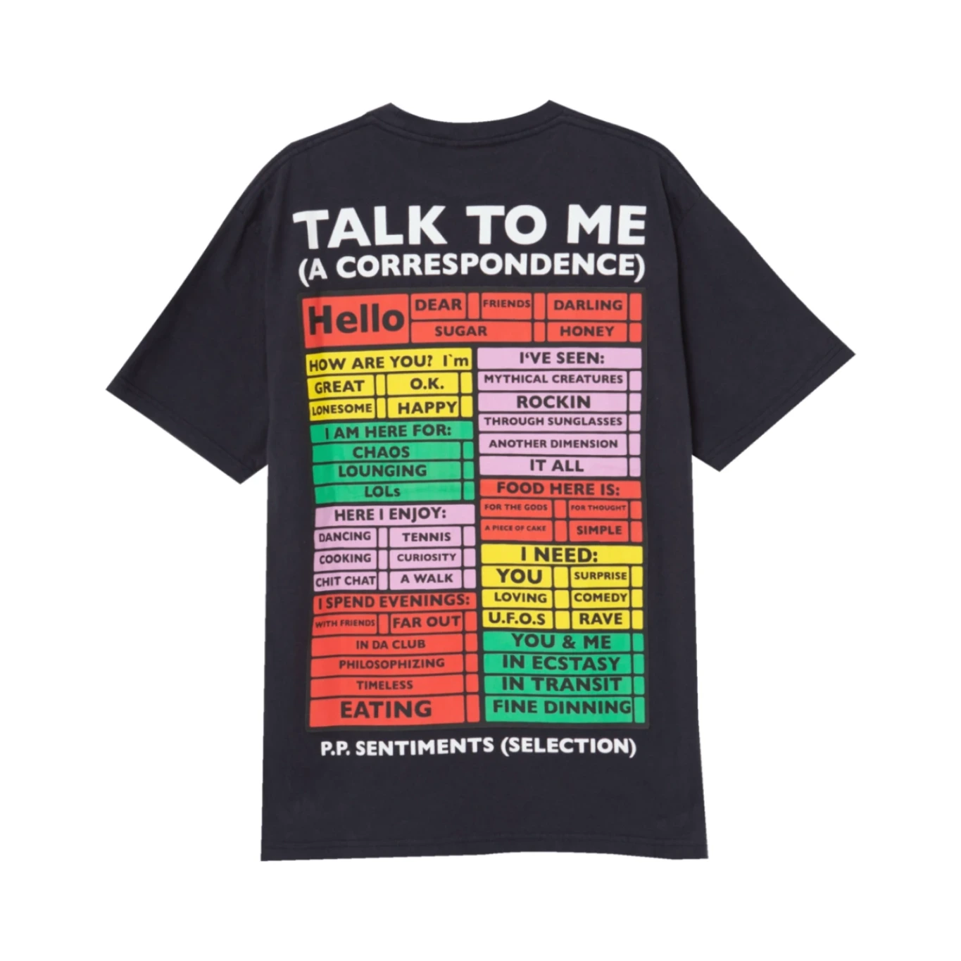 Public Possession Hello How Are You T-Shirt back view in a white background