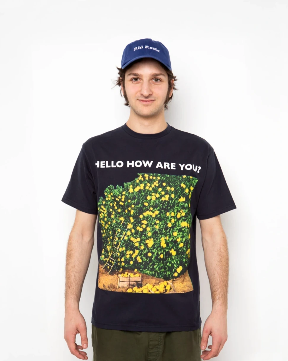 Public Possession Hello How Are You T-Shirt front view on model