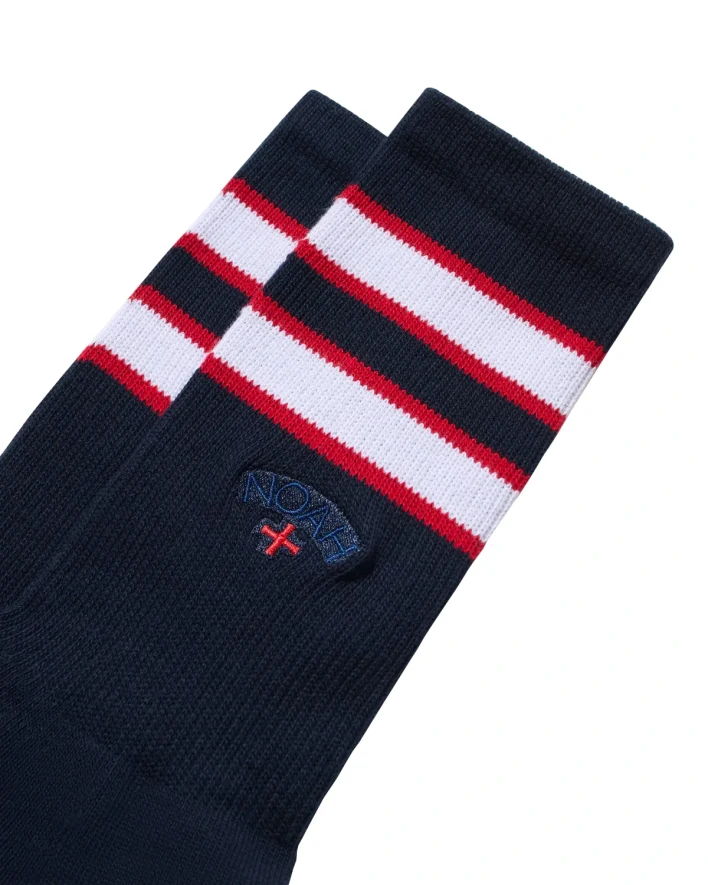 Noah Striped Sock Navy in a white background