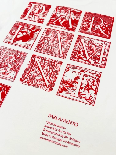parlamento_001.2 detail