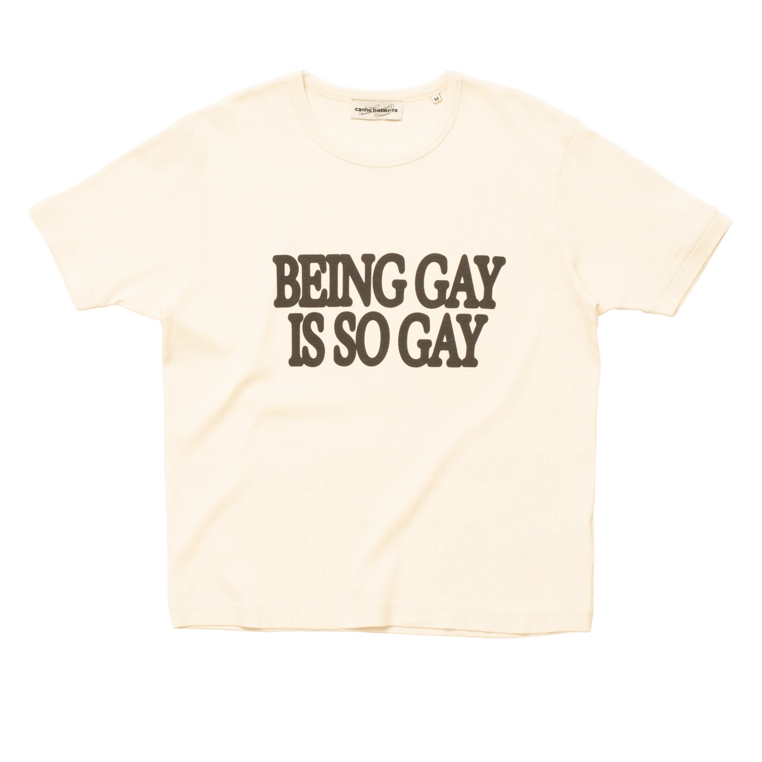 Carne Bollente Being Gay is So...T-Shirt front view in a white background