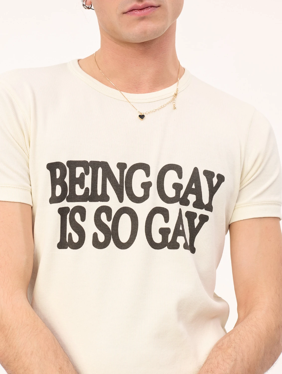 Carne Bollente Being Gay is So...T-Shirt front view detail on model