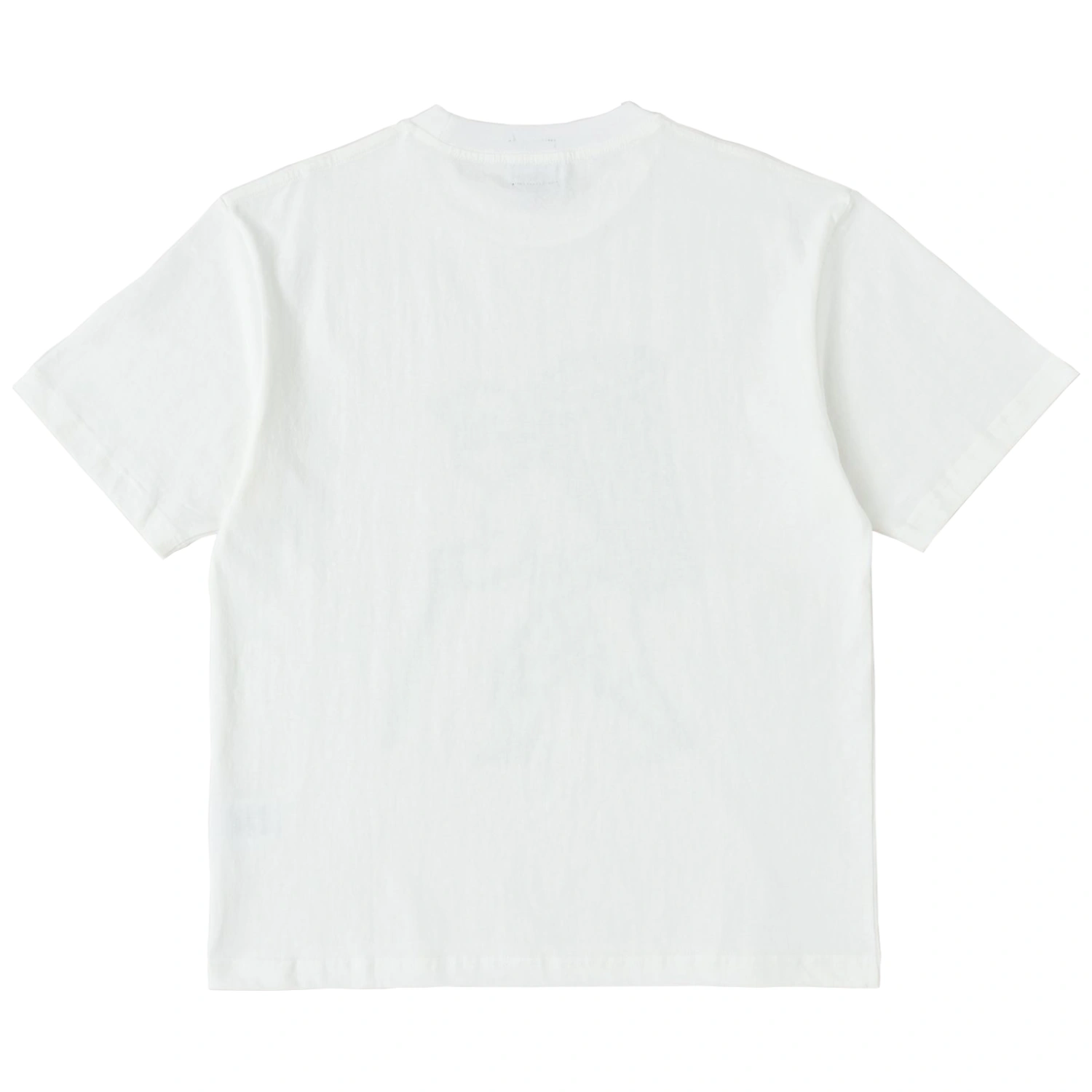 Heresy Pestilence T-shirt Ecru back view in a white background