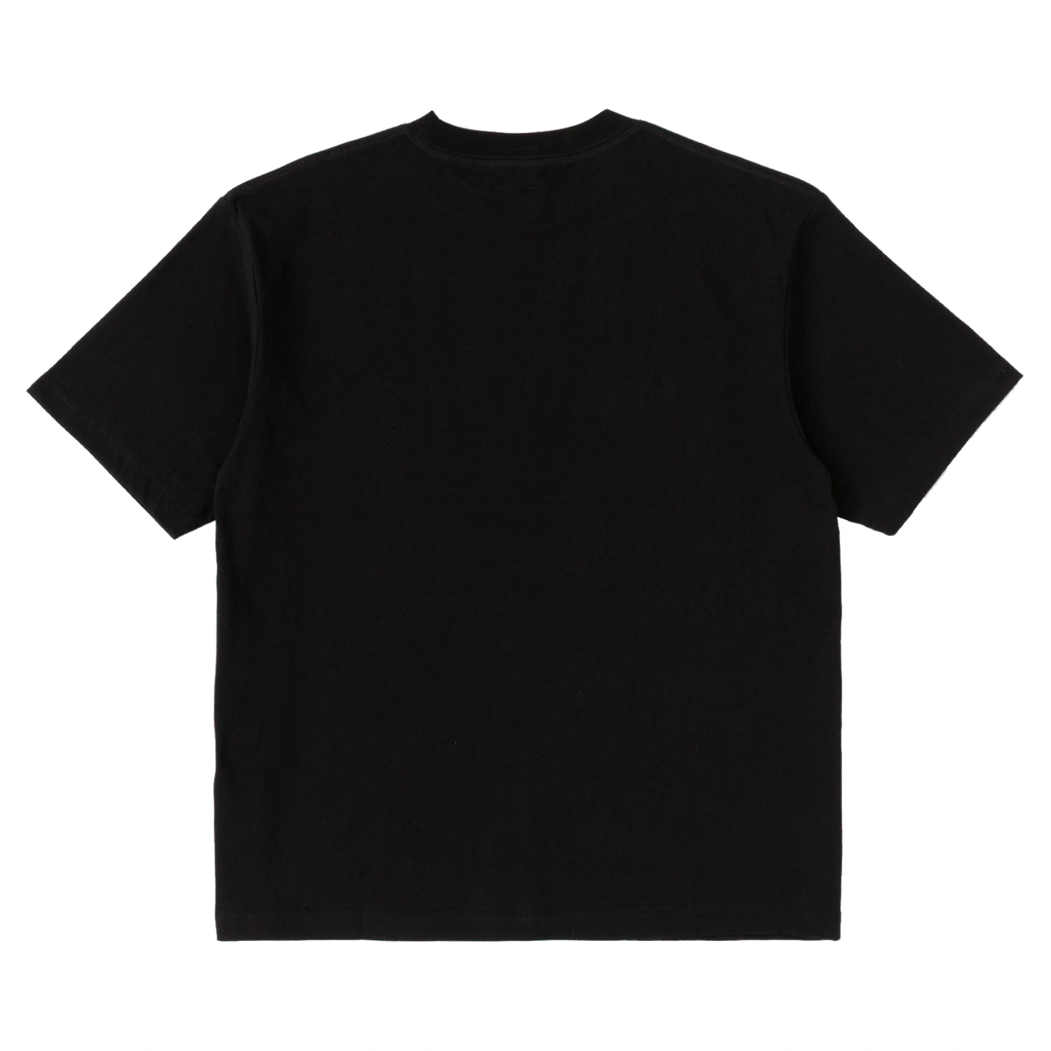 Heresy Pestilence T-shirt Black back view in a white background