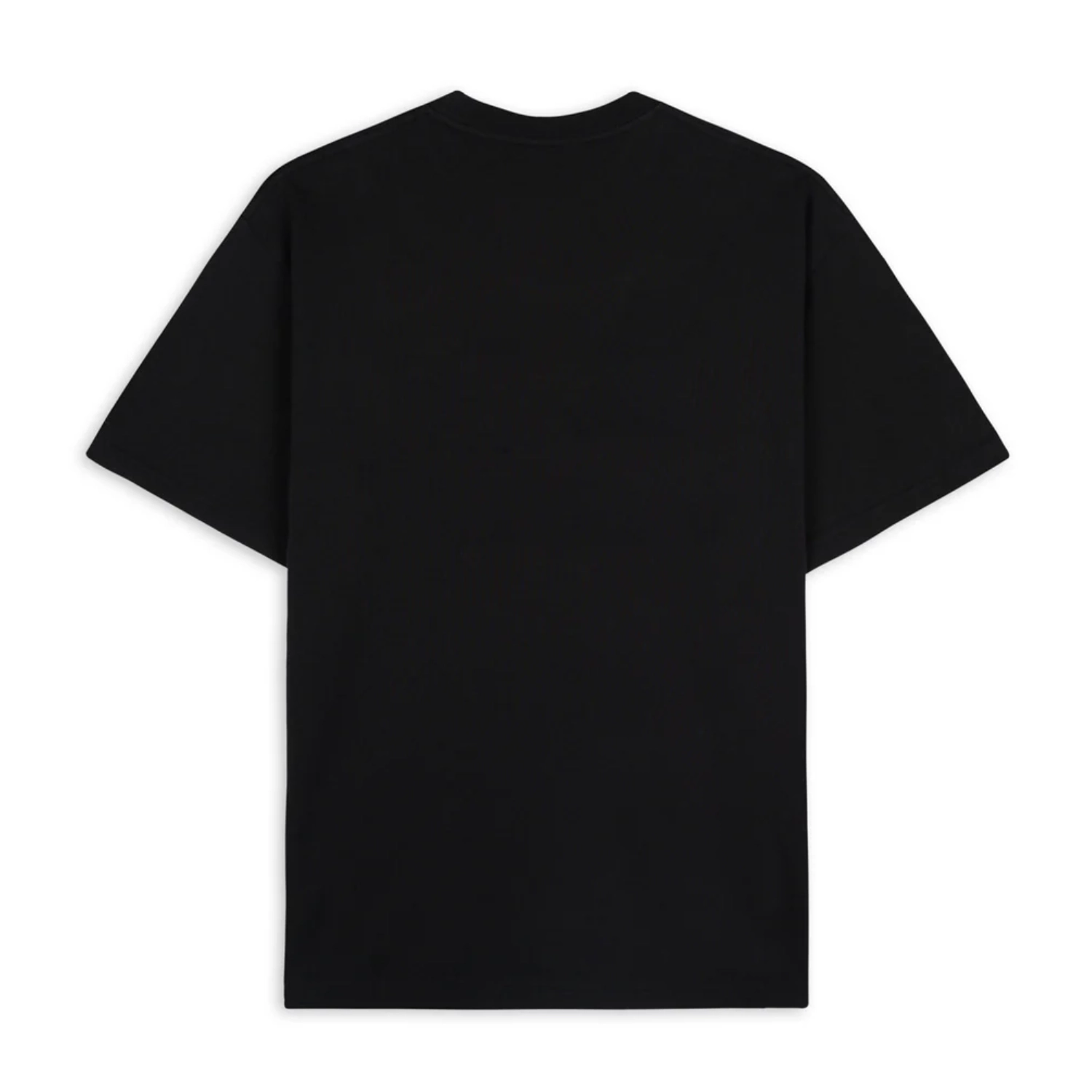 Brain Dead Earth Works T-Shirt Black back view in a white background