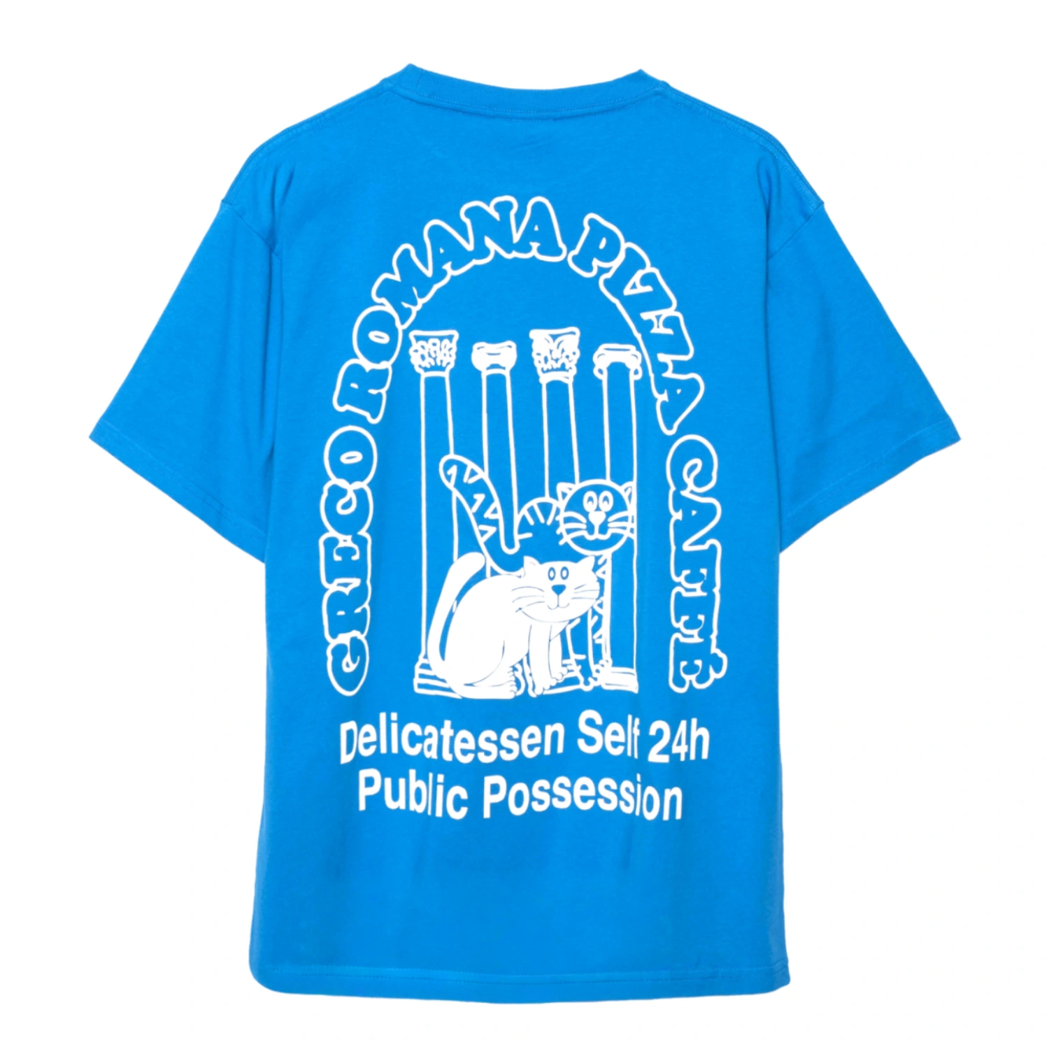 Public Possession Catering T-Shirt Blue back view in a white background