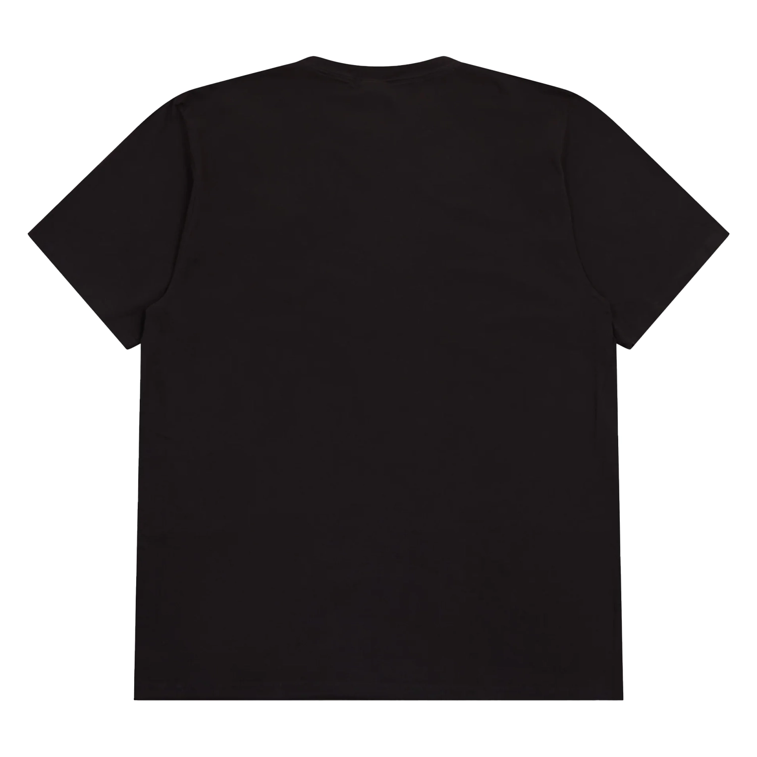 Stüssy Permanent Collection P.D. Tee Faded Black back view in a white background