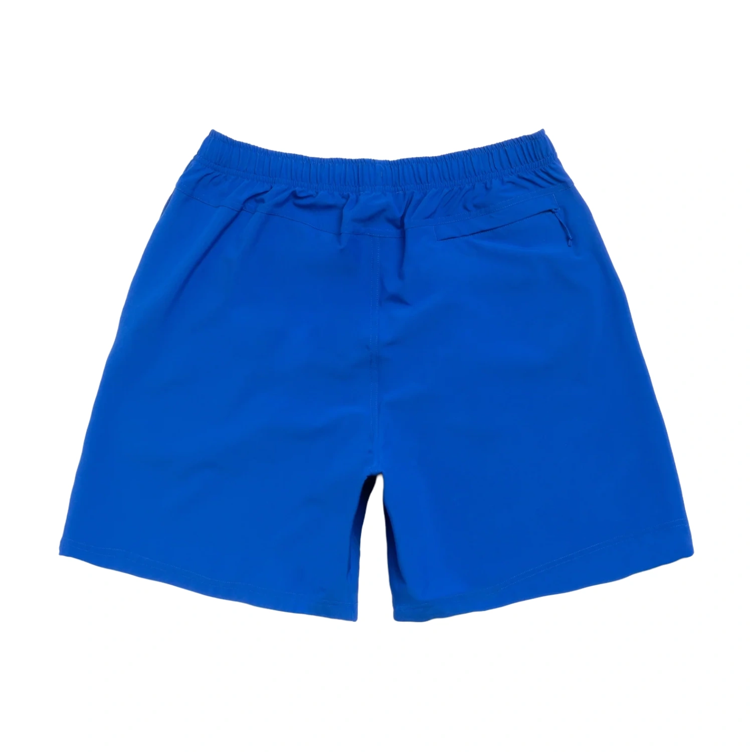 Stüssy Sport Short Blue back view in a white background
