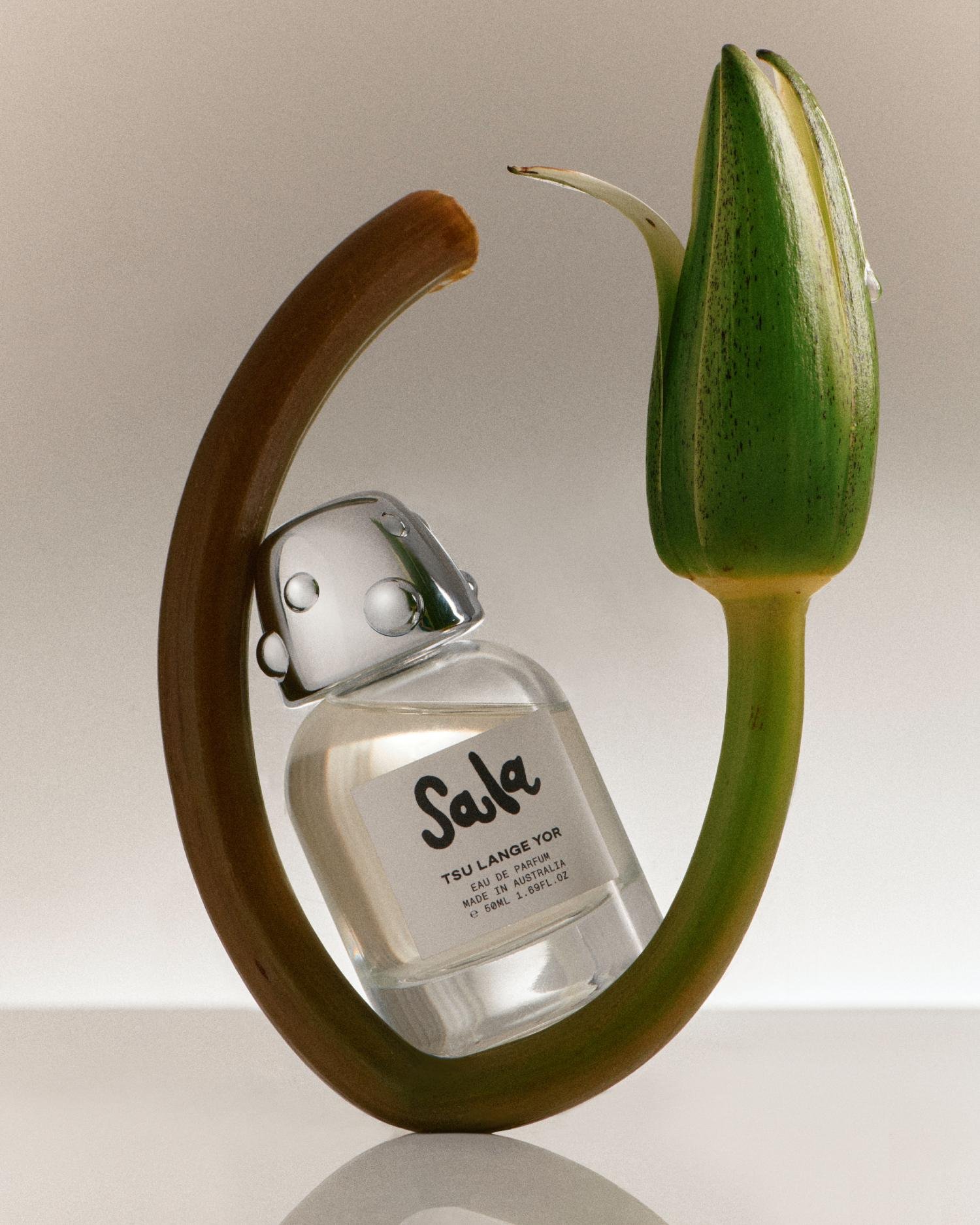 TLY Sala Editorial