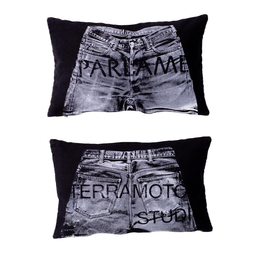 parlamento terramoto pillow main view